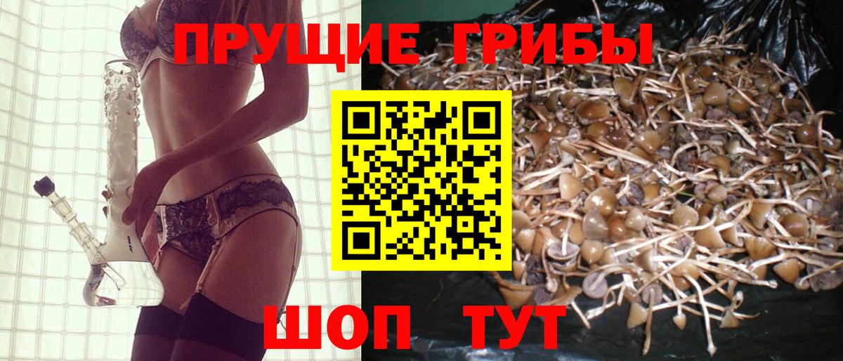 Мыски  Псилоцибиновые грибы мухоморы  Вход с VPN 