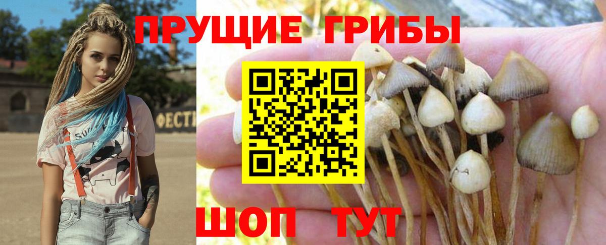 Псилоцибиновые грибы прущие грибы Мыски